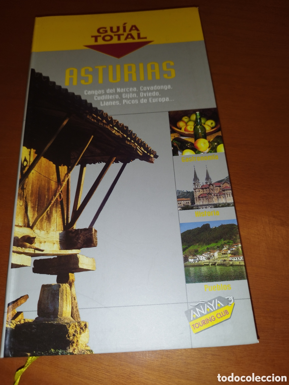 Libros de segunda mano: GUIA TOTAL ASTURIAS. ED. ANAYA, 2005 PRIMERA EDICION MUY ILUSTRADO.