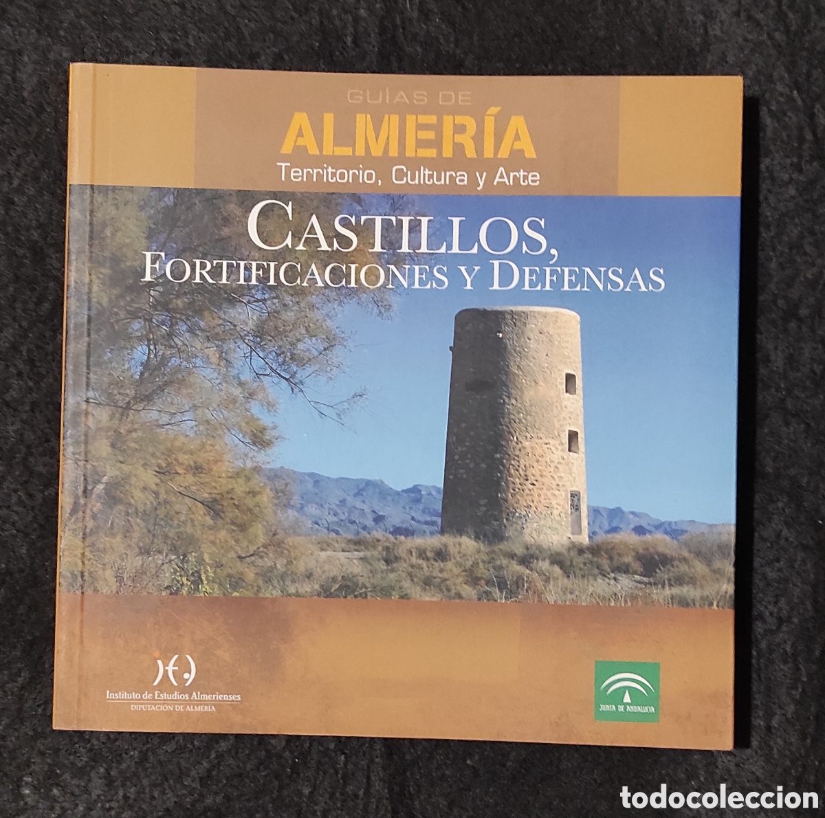 Libros de segunda mano: Castillos, fortificaciones y defensas. Gu&iacute;as de Almer&iacute;a. Territorio, cultura y arte