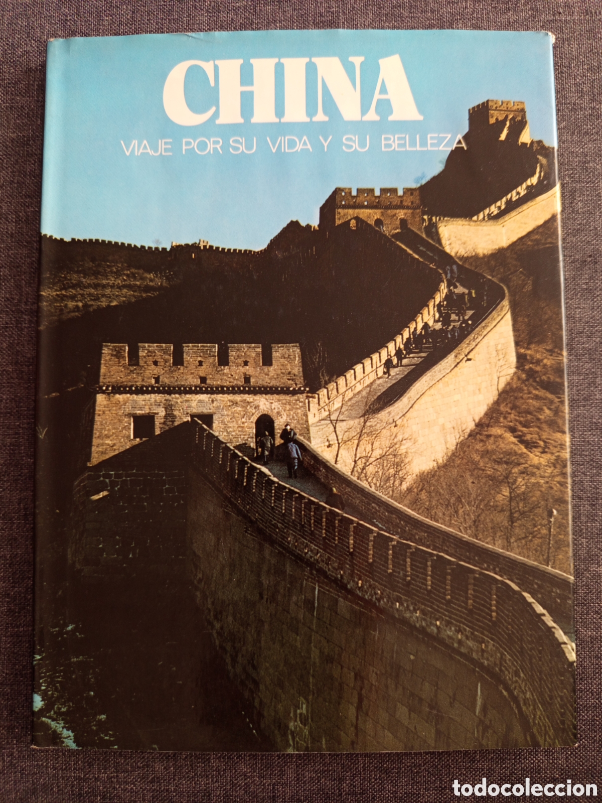 Libros de segunda mano: CHINA. VIAJE POR SU VIDA Y SU BELLEZA (JOAN JOSE MARGALL I RIBAS)