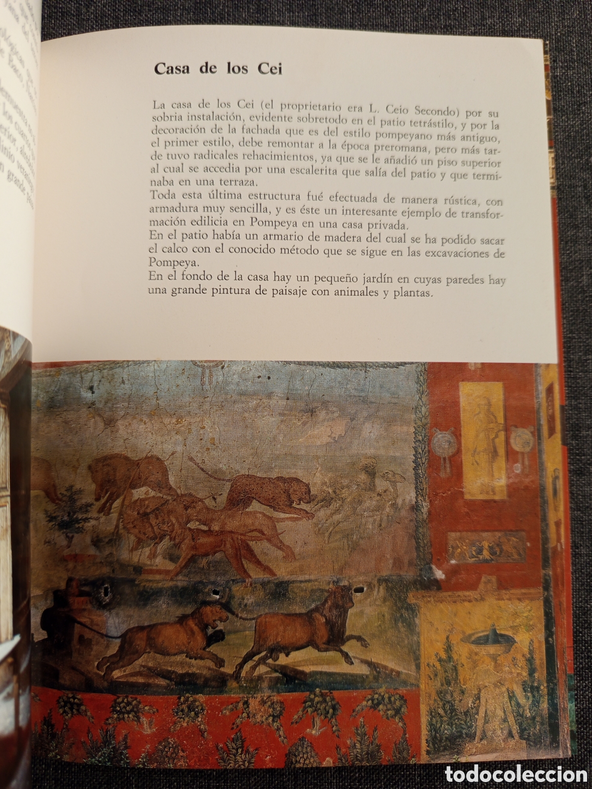 Libros de segunda mano: POMPEYA (PROF. ALFONSO DE FRANCISCIS) - Foto 6