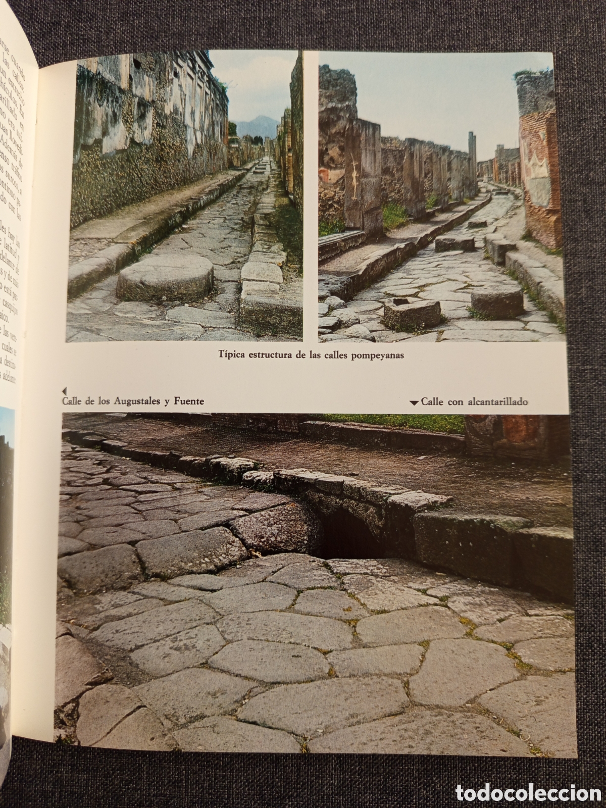 Libros de segunda mano: POMPEYA (PROF. ALFONSO DE FRANCISCIS) - Foto 9