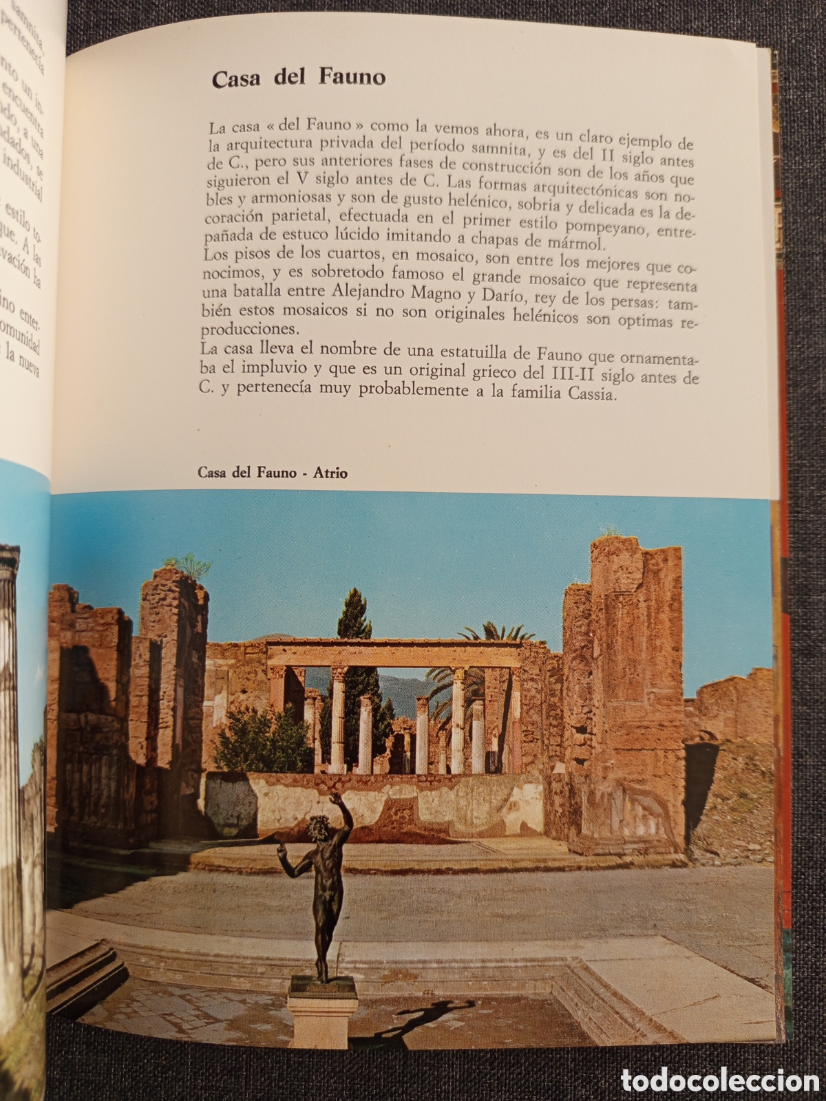 Libros de segunda mano: POMPEYA (PROF. ALFONSO DE FRANCISCIS) - Foto 10