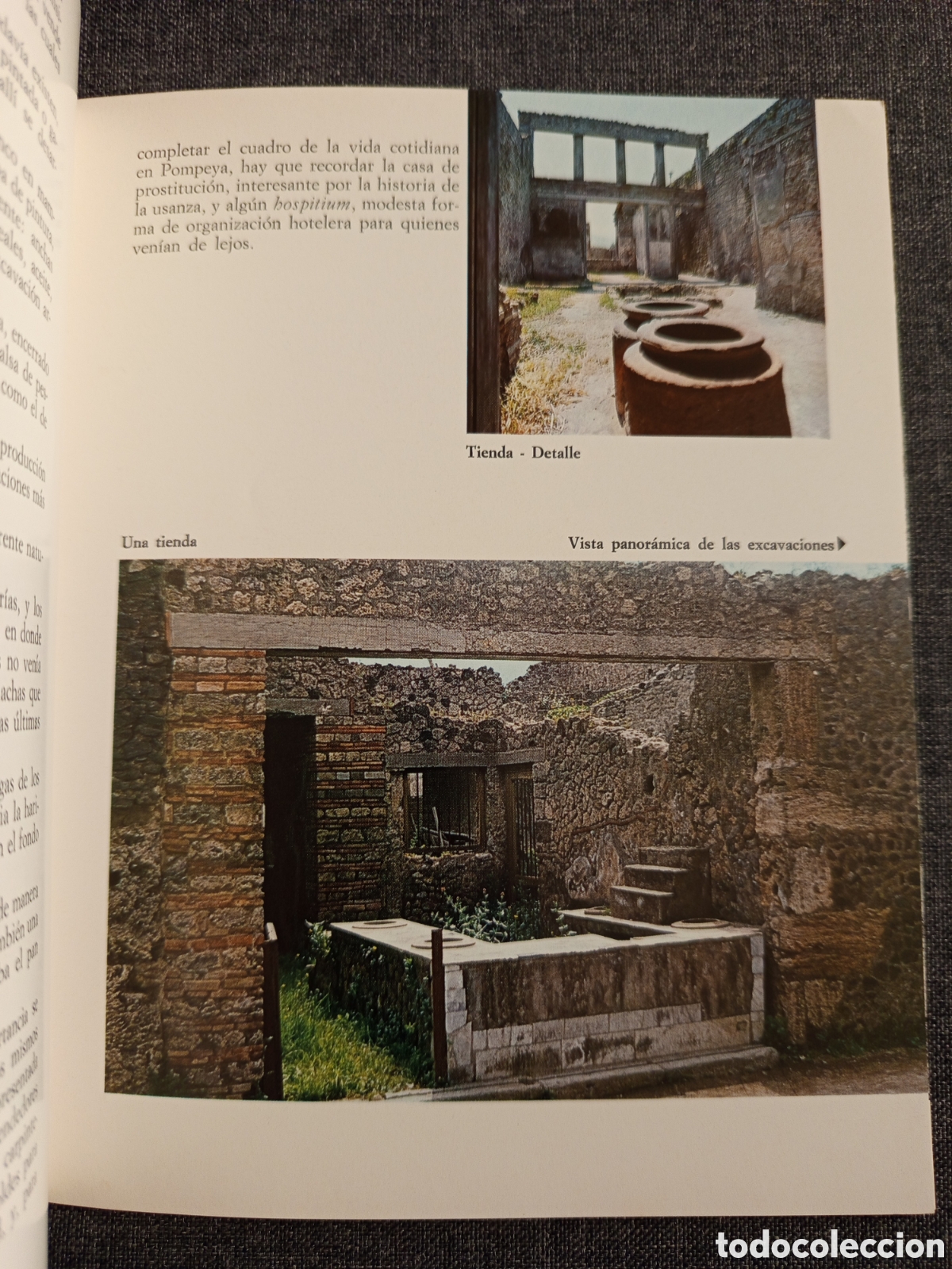 Libros de segunda mano: POMPEYA (PROF. ALFONSO DE FRANCISCIS) - Foto 12