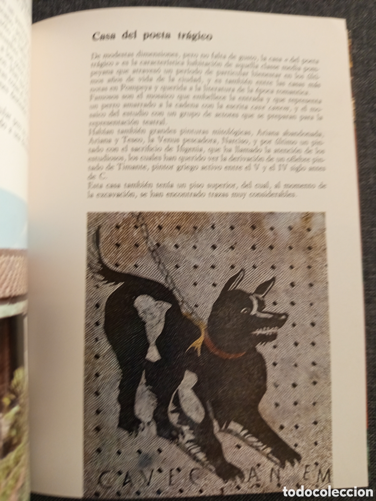 Libros de segunda mano: POMPEYA (PROF. ALFONSO DE FRANCISCIS) - Foto 13