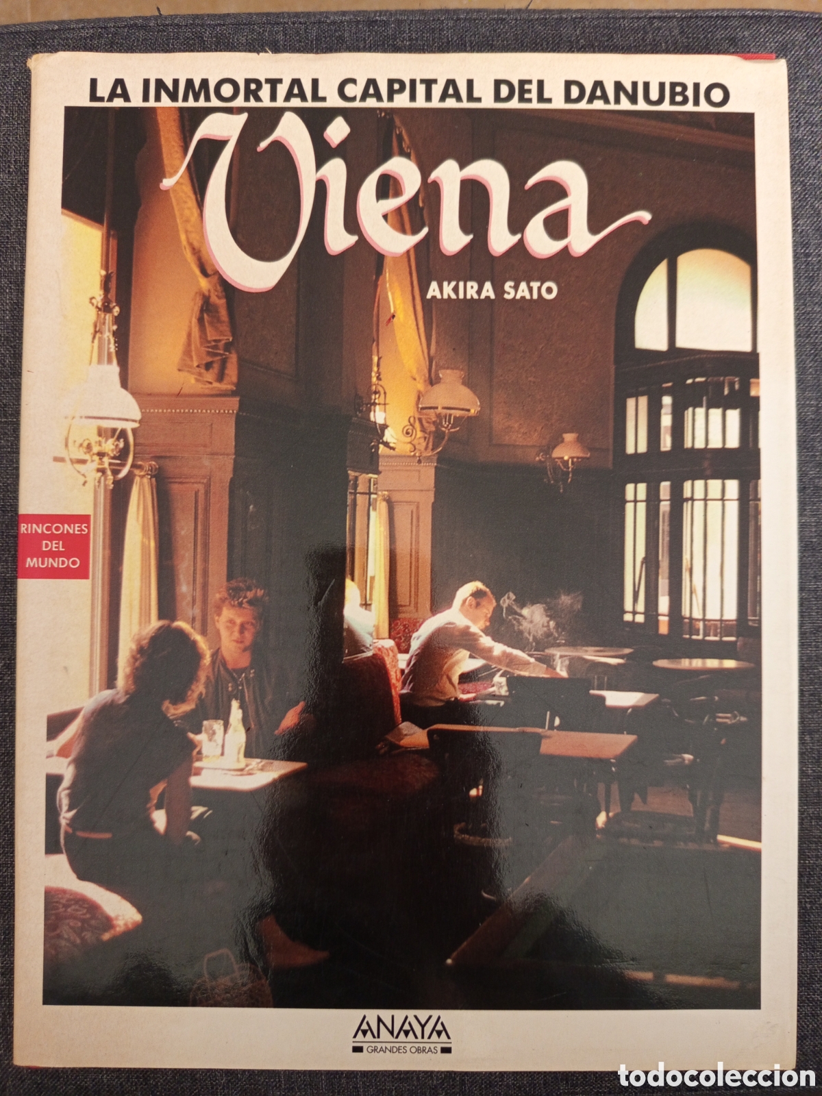 Libros de segunda mano: VIENA. LA INMORTAL CAPITAL DEL DANUBIO (AKIRA SATO)