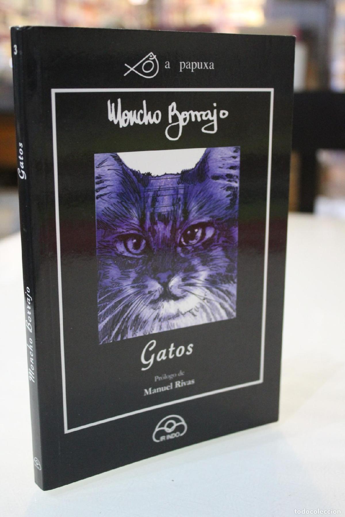 Gebrauchte B&uuml;cher: Gatos - Borrajo, Moncho.