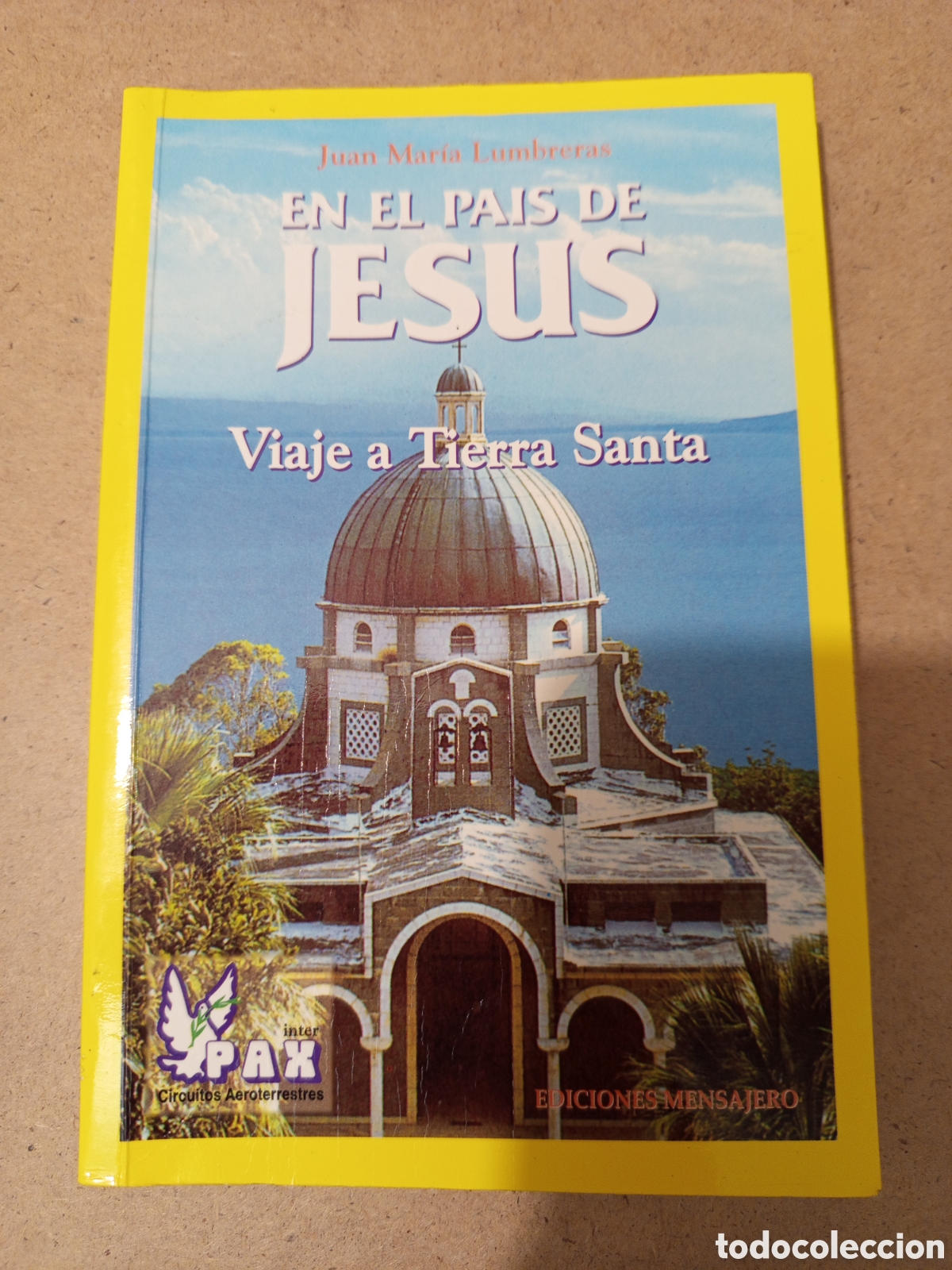 Libros de segunda mano: EN EL PAIS DE JESUS. VIAJE A TIERRA SANTA (JUAN MARIA LUMBRERAS)