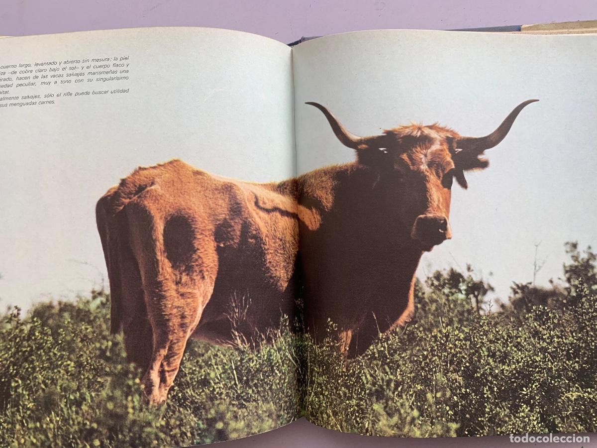 Libros de segunda mano: Do&ntilde;ana, el parque de Do&ntilde;ana - Foto 3