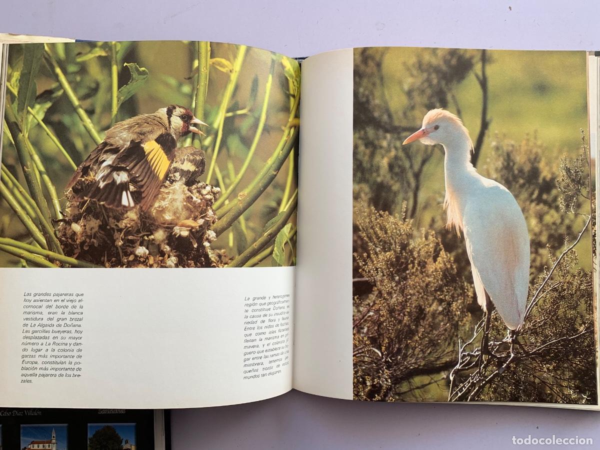 Libros de segunda mano: Do&ntilde;ana, el parque de Do&ntilde;ana - Foto 4