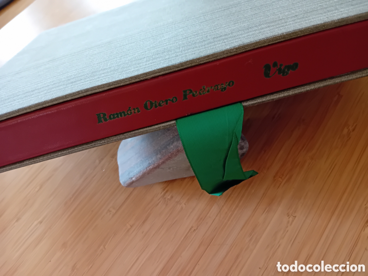 Libros de segunda mano: Vigo - Ram&oacute;n Otero Pedrayo (Ayto. Vigo 1969)