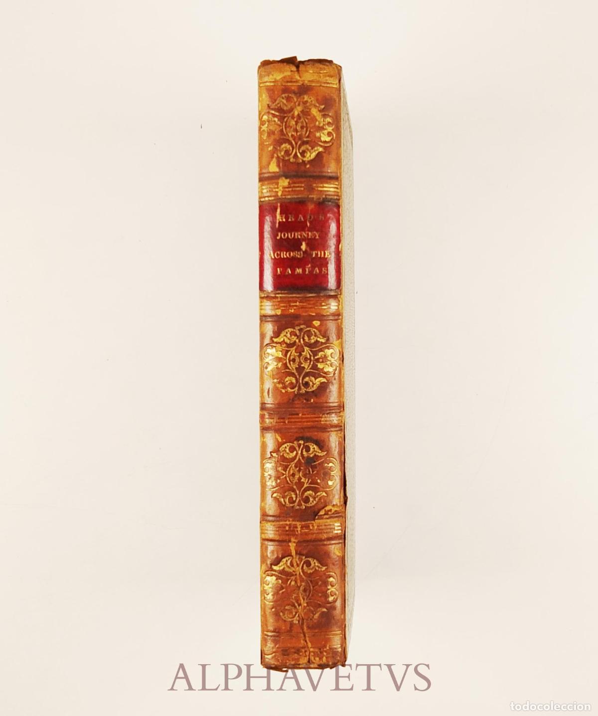 Second hand books: Rough notes taken during some rapid journeys across the Pampas and among the Andes by Captain Franci