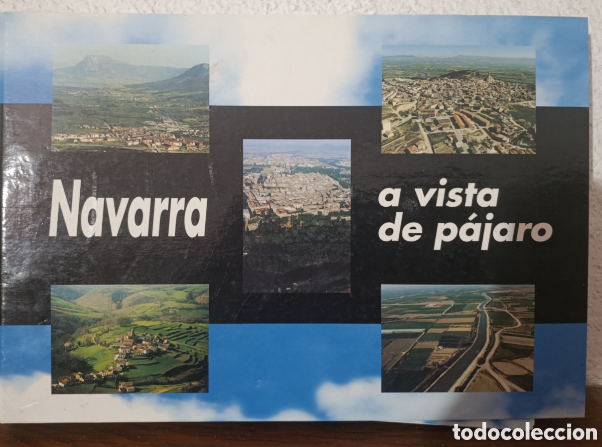 Libros de segunda mano: NAVARRA A VISTA DE P&Aacute;JARO
