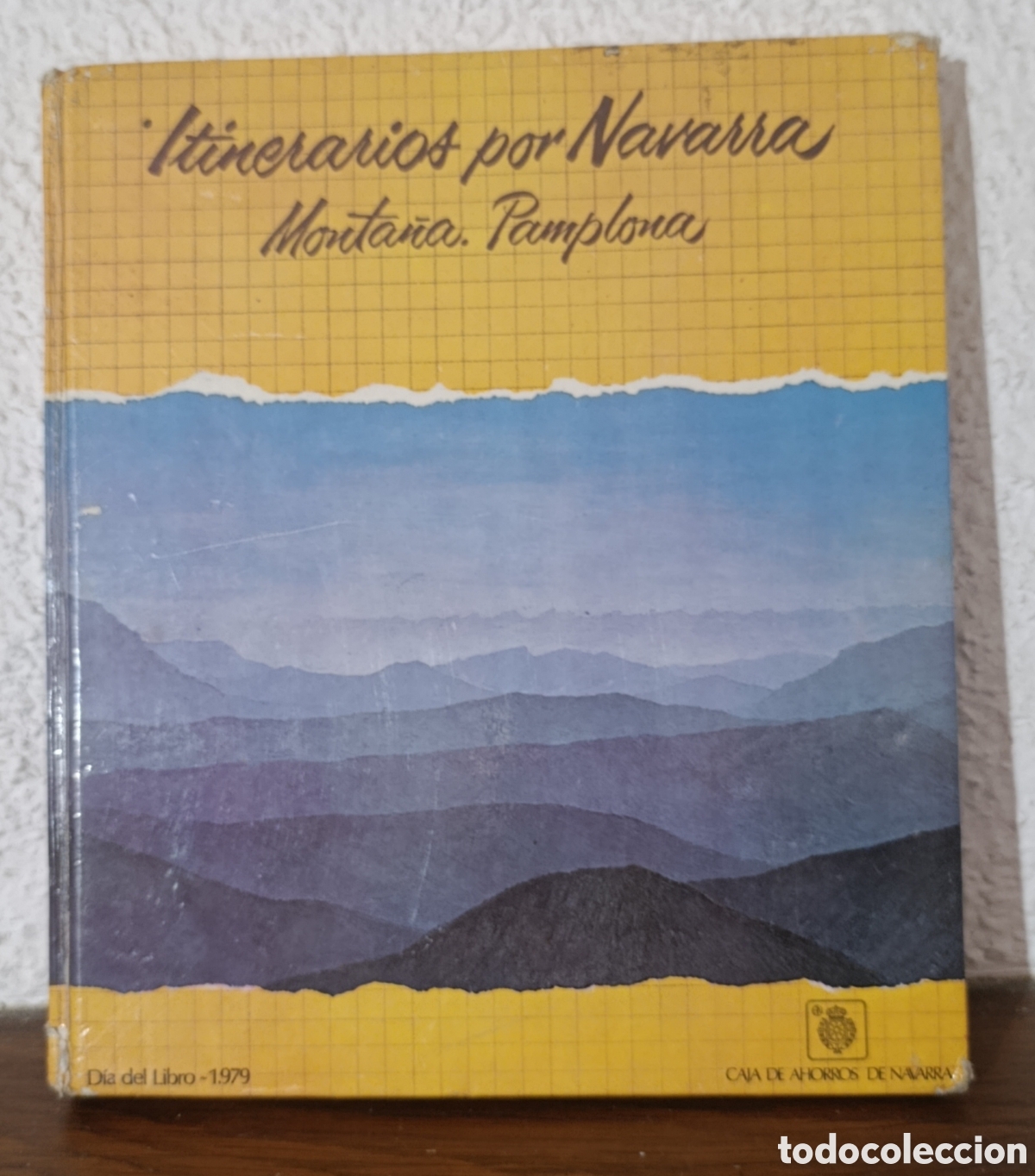 Libros de segunda mano: ITINERARIOS POR NAVARRA