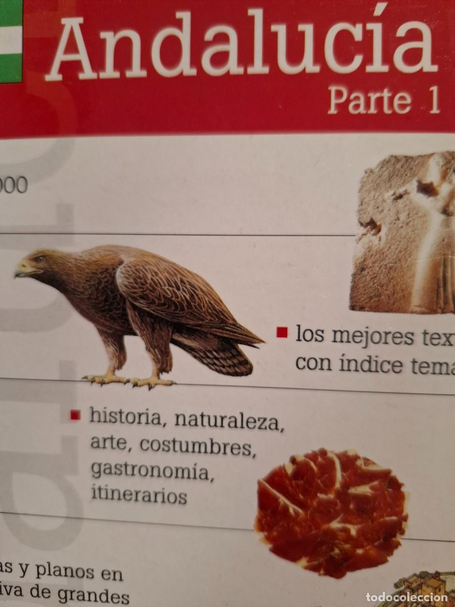 Libri di seconda mano: Andaluc&iacute;a parte 1 gu&iacute;as visuales de Espa&ntilde;a vv aa