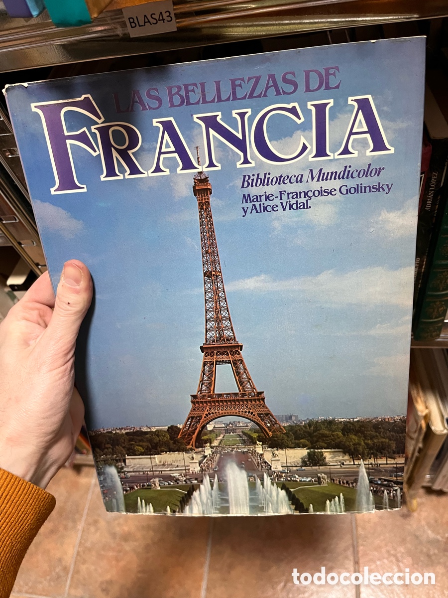 Libri di seconda mano: BLAS43 LAS BELLEZAS DE FRANCIA Biblioteca Mundicolor Marie-Fran&ccedil;oise Golinsky y Alice Vidal.