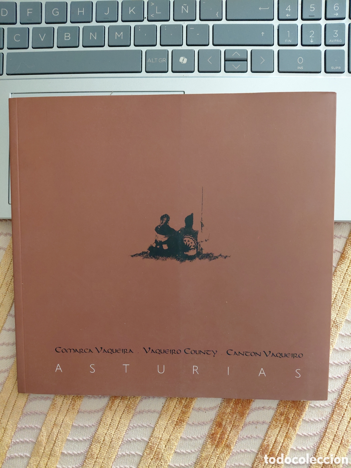 Gebrauchte B&uuml;cher: Asturias, Comarca Vaqueira