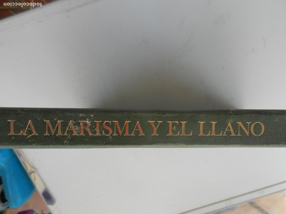 Libros de segunda mano: LA MARISMA Y EL LLANO -BORJA CARDEL&Uacute;S Editorial: LUNWERG -1989