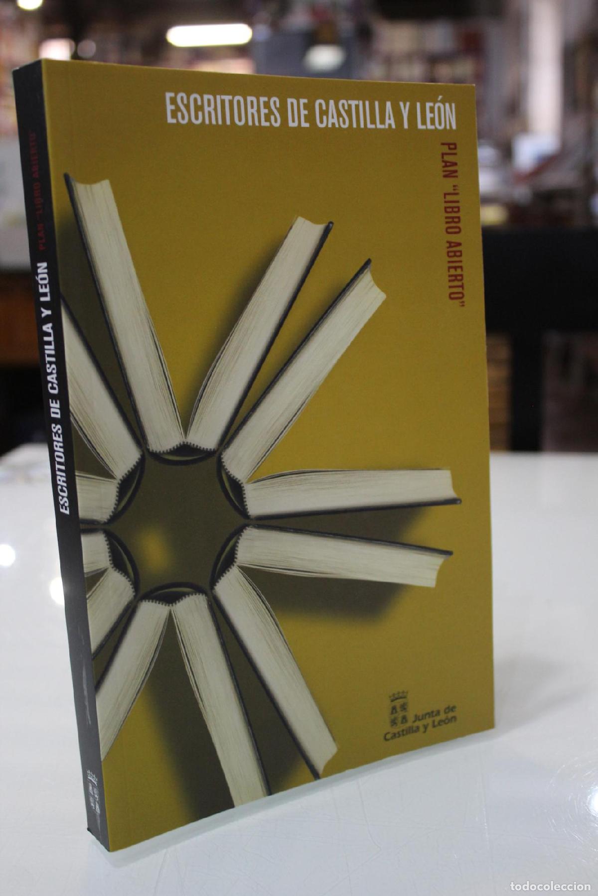 Libros de segunda mano: Escritores de castilla y Le&oacute;n - Vv.aa