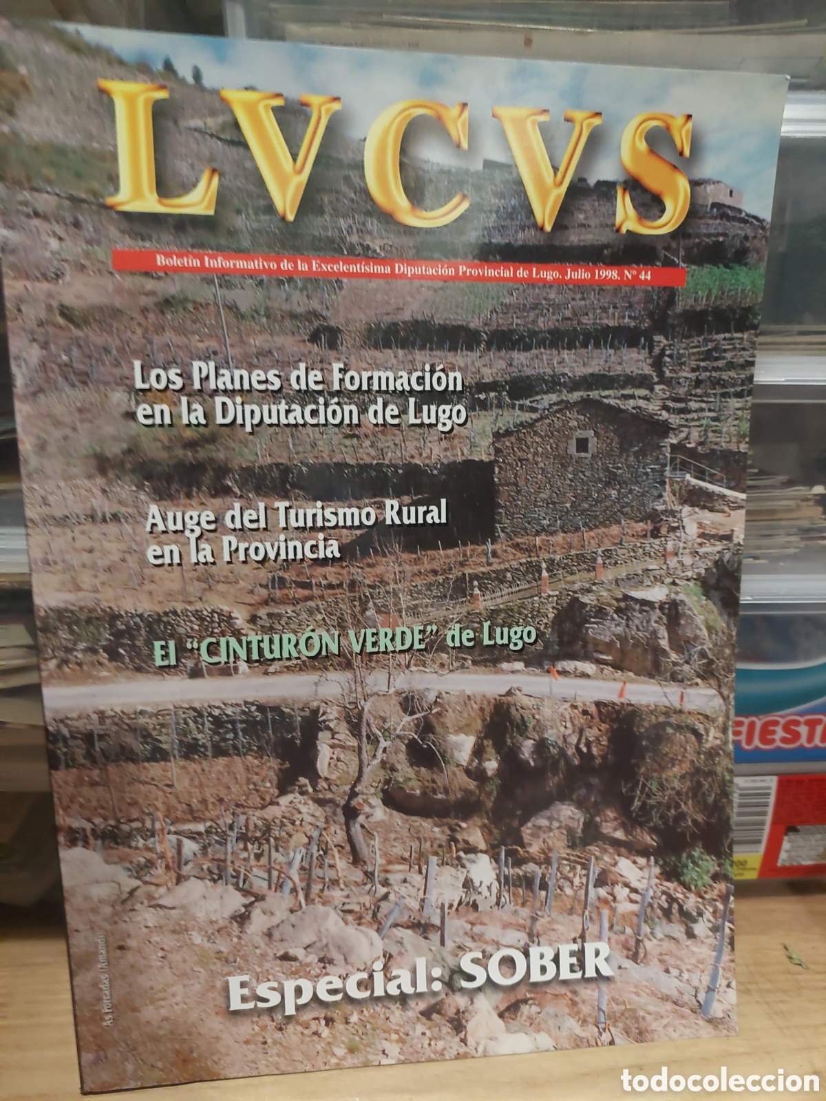 Libros de segunda mano: SOBER LUGO REVISTAS LVCVS 1998 44 PONTENOVA
