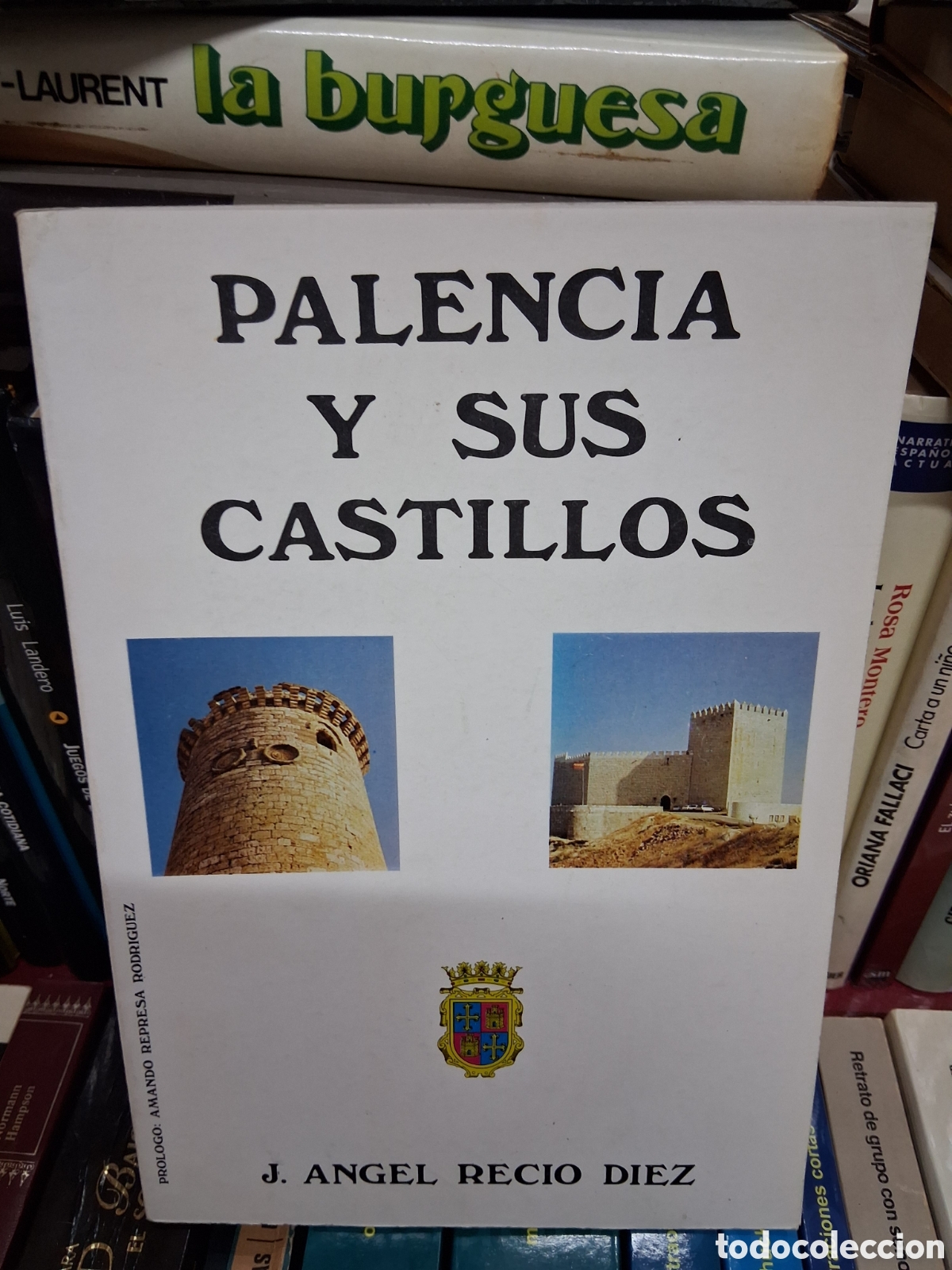 Libros de segunda mano: Palencia y sus castillos - J.Angel Recio Diez