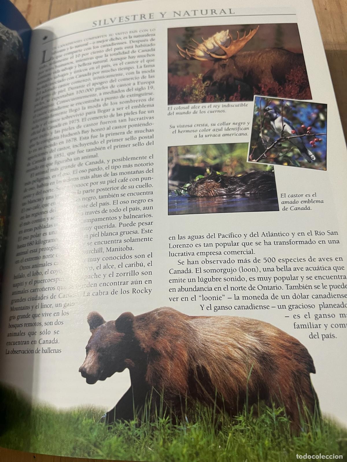 Libros de segunda mano: Canada - Sandra Tonn - Foto 3