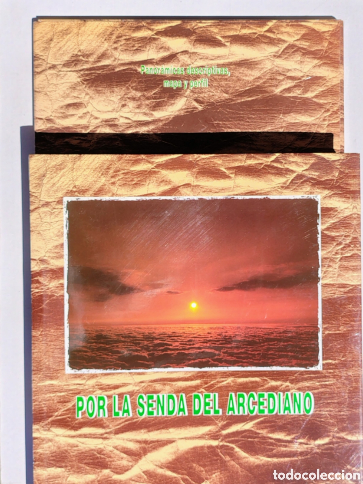 Libros de segunda mano: Por la senda del Arcediano &ndash; Guillermo Ma&ntilde;ana V&aacute;zquez &ndash; Ed. Caja de Ahorros de Asturias