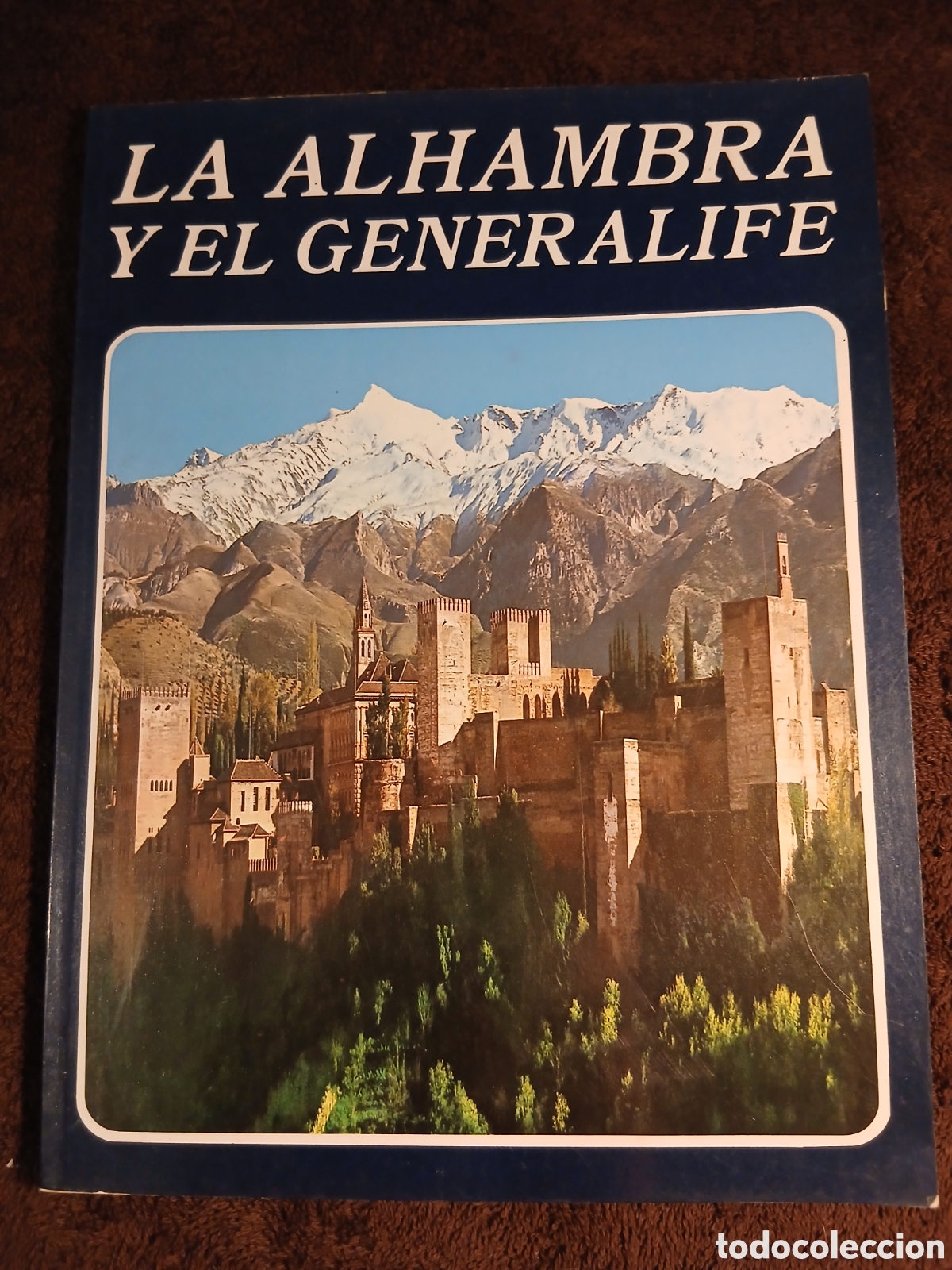 Libros de segunda mano: La Alhambra y el Generalife. Miguel S&aacute;nchez.