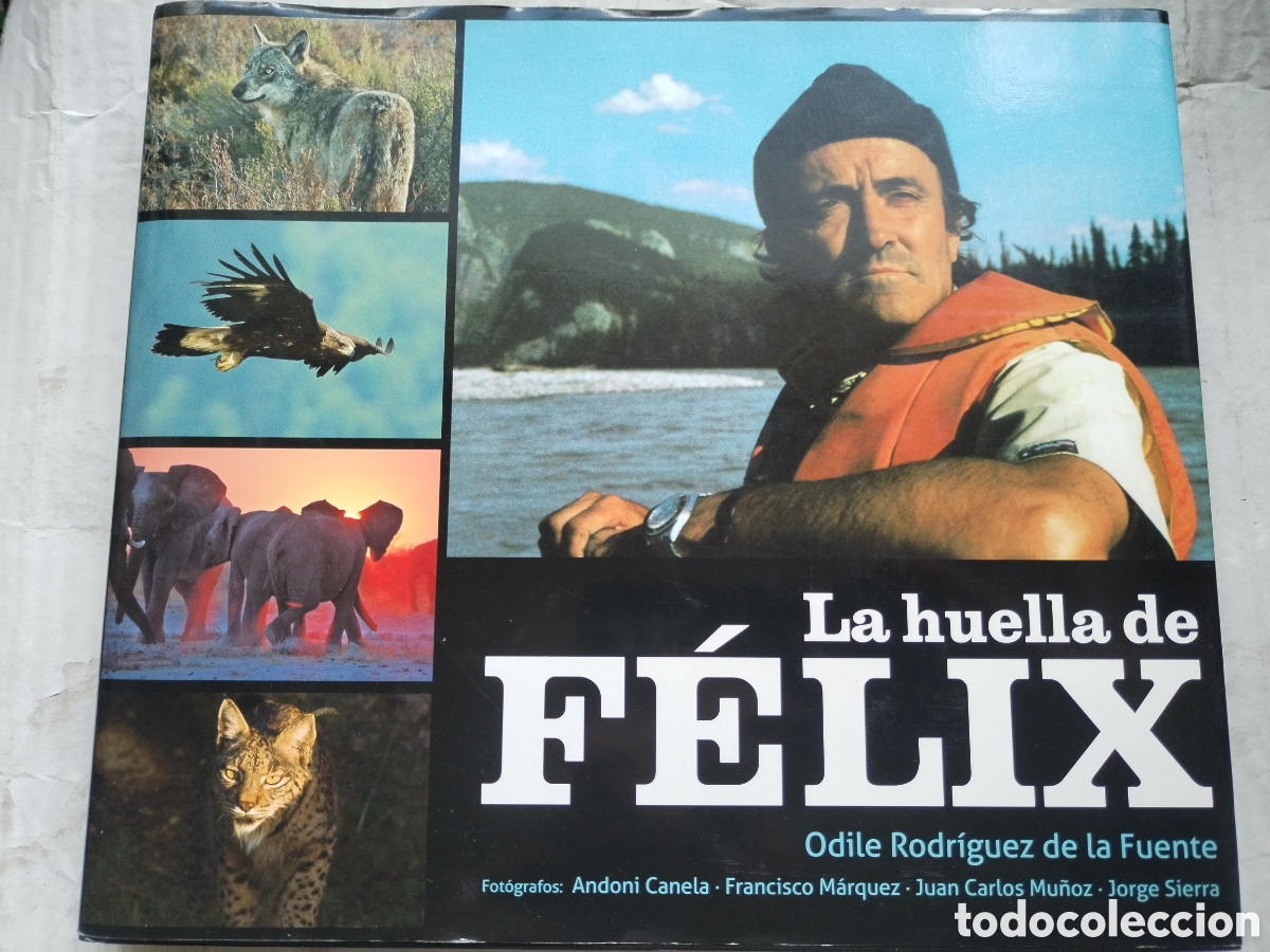 Libros de segunda mano: LA HUELLA DE FELIX/ODILE RODR&Iacute;GUEZ DE LA FUENTE