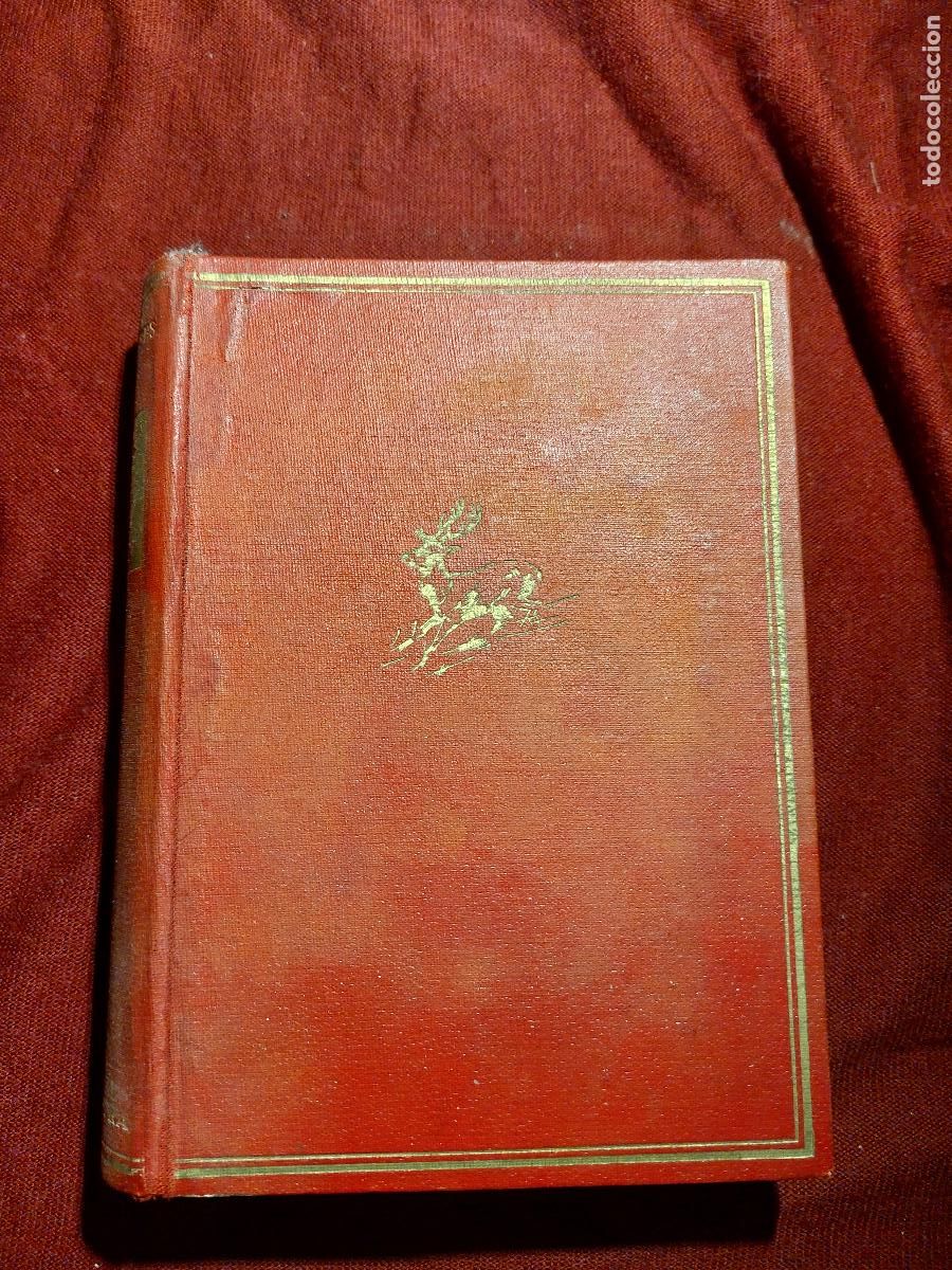 Libros de segunda mano: VEINTE A&Ntilde;OS DE CAZA MAYOR - Conde de Yebes. Pr&oacute;l. de Jos&eacute; Ortega y Gasset.