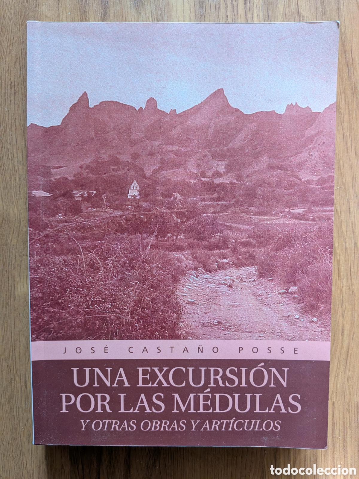 Libros de segunda mano: UNA EXCURSI&Oacute;N POR LAS M&Eacute;DULAS Y OTRAS OBRAS Y ART&Iacute;CULOS - Jos&eacute; Casta&ntilde;o Posse