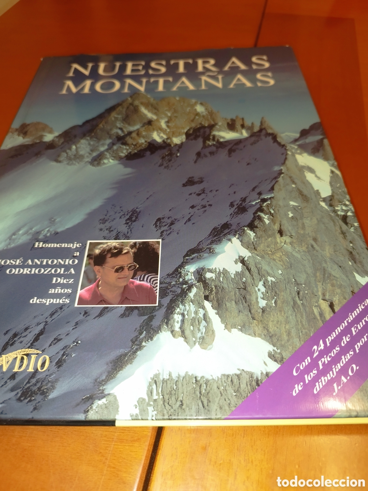 Libros de segunda mano: NUESTRAS MONTA&Ntilde;AS. HOMENAJE A JOSE ANTONIO ODRIOZOLA.-VV.AA. LIBRERIA ESTUDIO, 1987 PRIMERA EDICION.