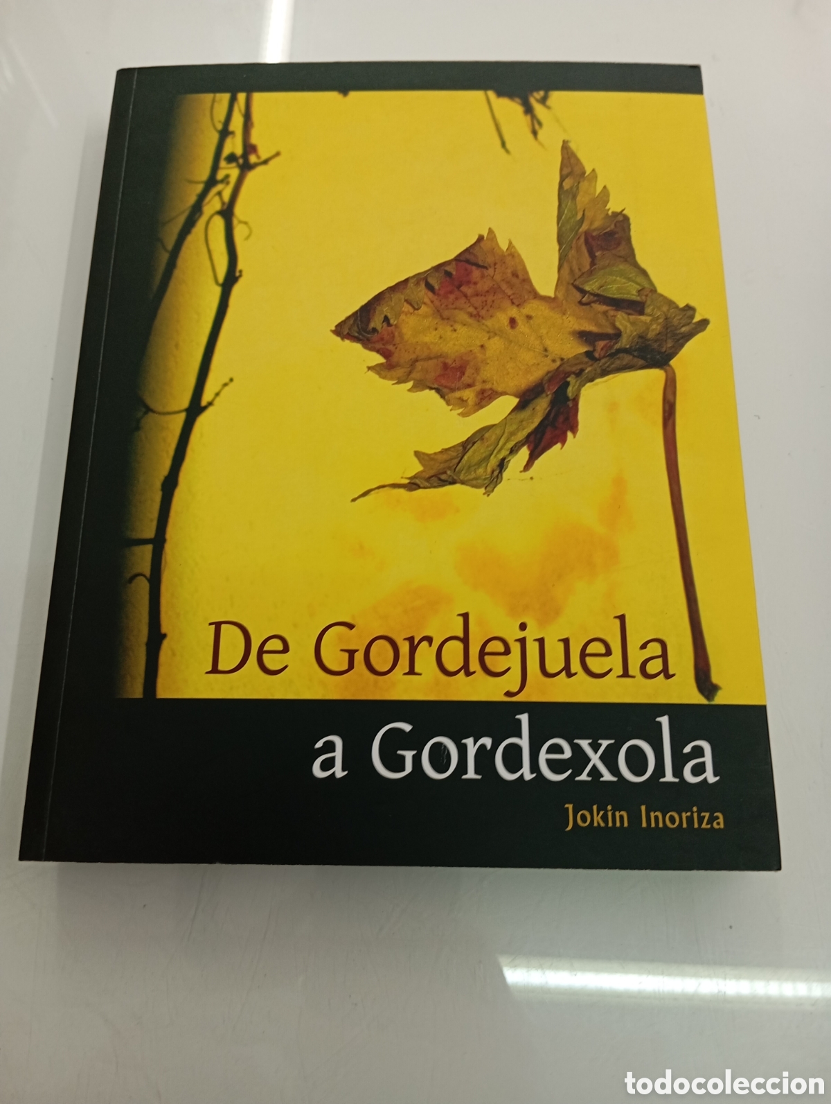 Libros de segunda mano: DE GORDEJUELA A GORDEXOLA JOKIN INORIZA 2013 BARRIOS CASERIOS ENCARTACIONES VIZCAYA PAIS VASCO