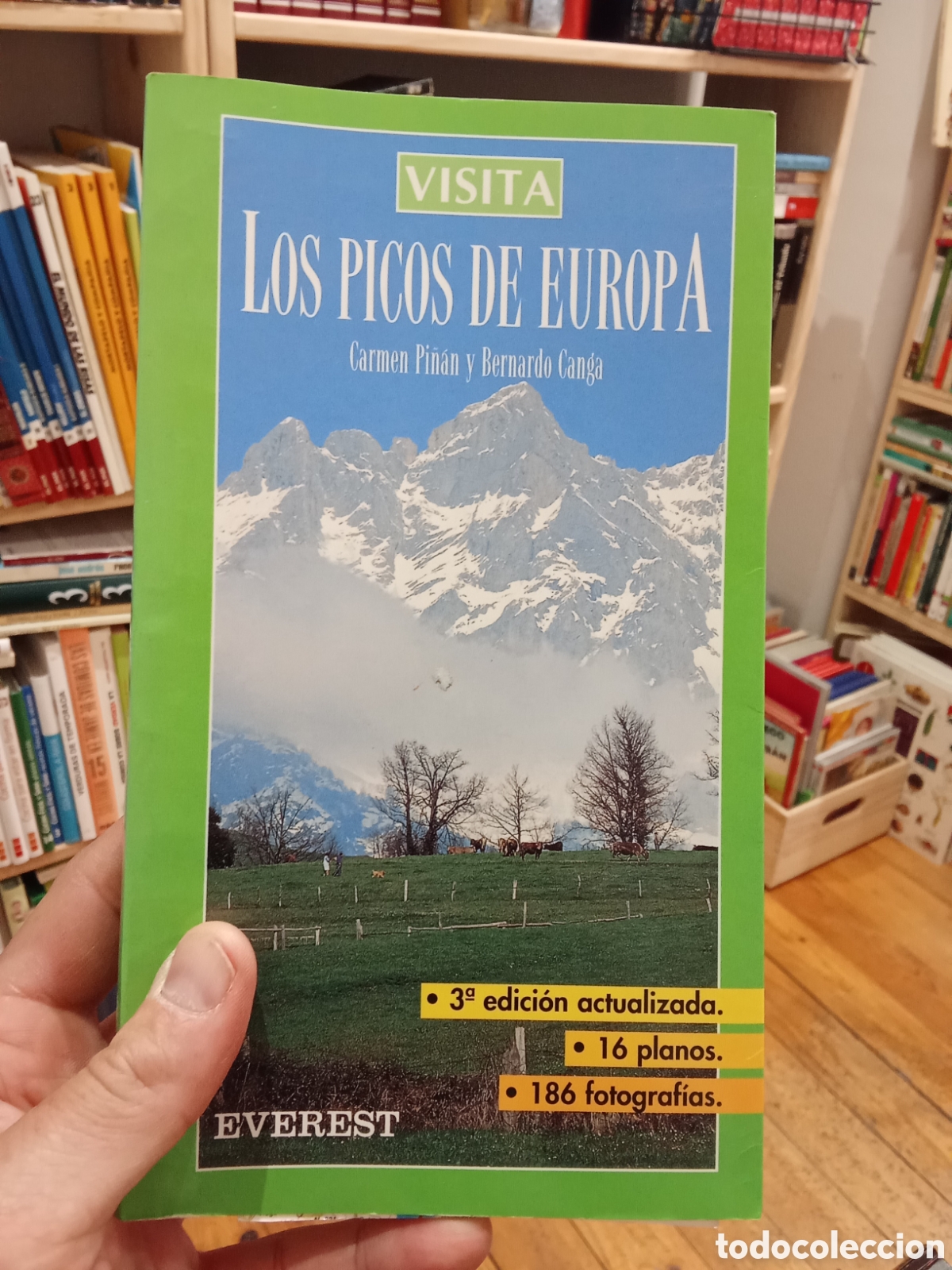 Libros de segunda mano: Visita Los picos de Europa - Everest - Carmen Pi&ntilde;an y Bernardo Canga