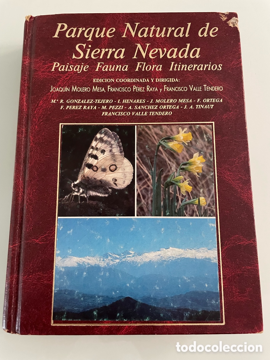 Second hand books: Parque Natural de Sierra Nevada. Joaquin Molero Mesa. Editorial Rueda. 1992. Tapa dura