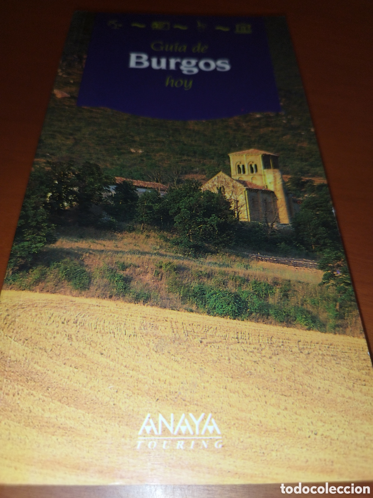 Libros de segunda mano: GUIA BURGOS HOY. ED. ANAYA TOURING, 1993 PRIMERA EDICION MUY ILUSTRADA.
