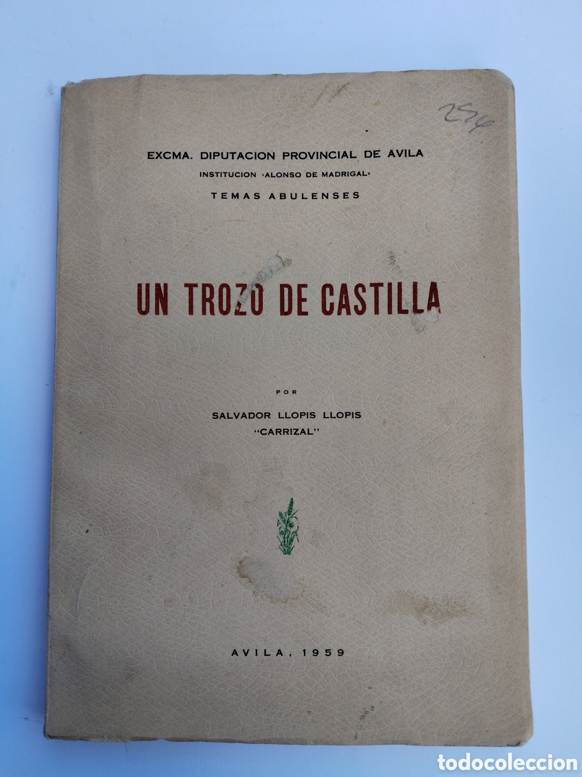 Libros de segunda mano: UN TROZO DE CASTILLA - AVILA 1959 - TEMAS ABULENSES - DIPUTACION PROVINCIAL AVILA - SLAVADOR LLOPIS