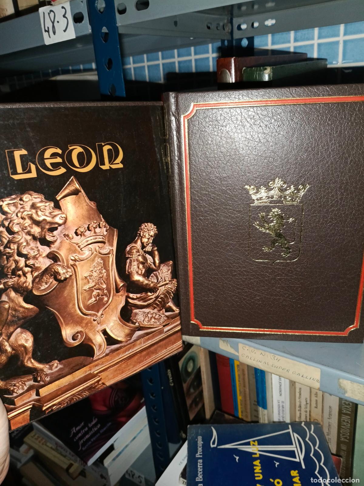 Libros de segunda mano: Los monumentos capitales de la ciudad de Leon. Everest.