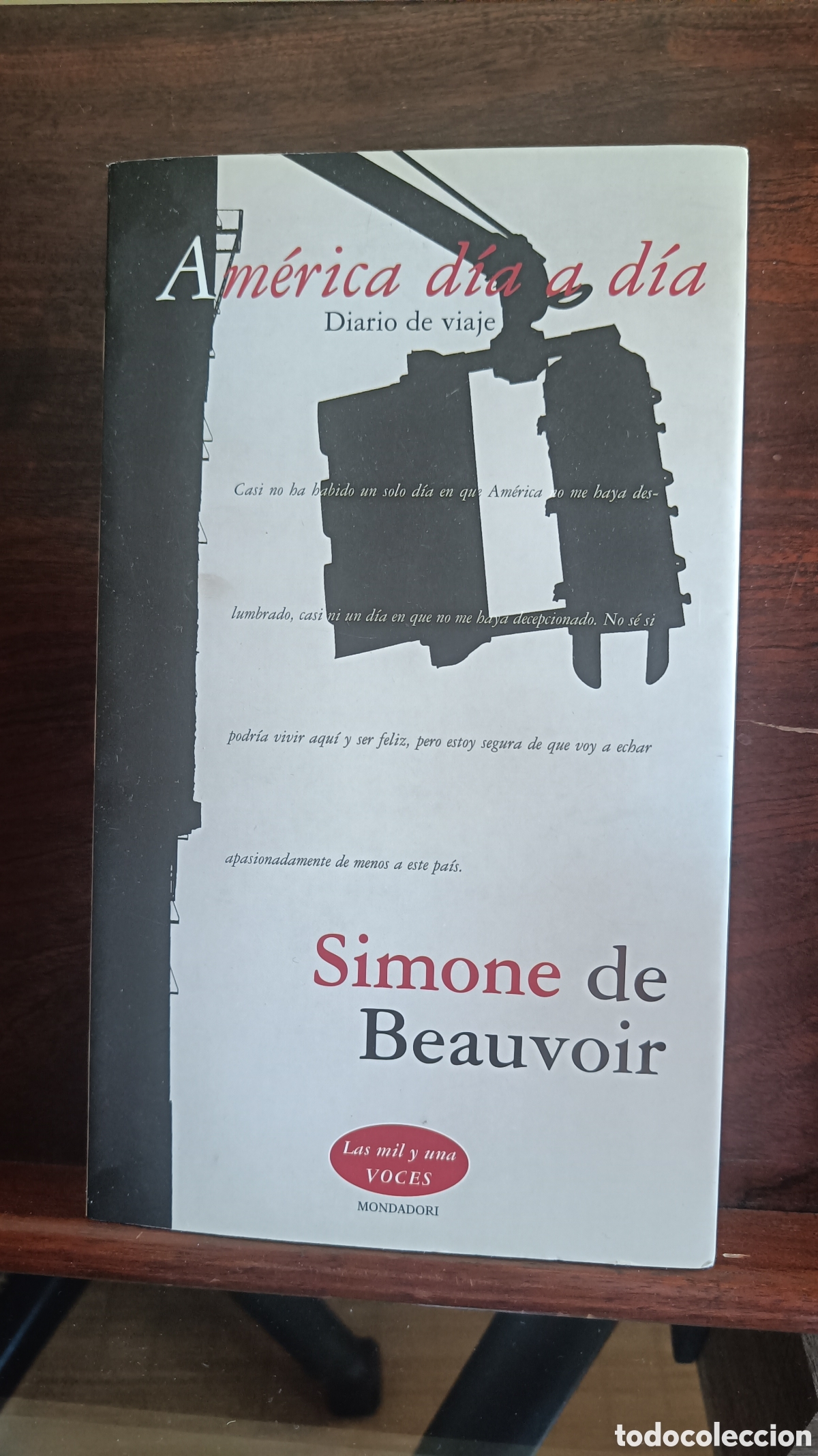Libros de segunda mano: Am&eacute;rica d&iacute;a a d&iacute;a.Diario de viaje.