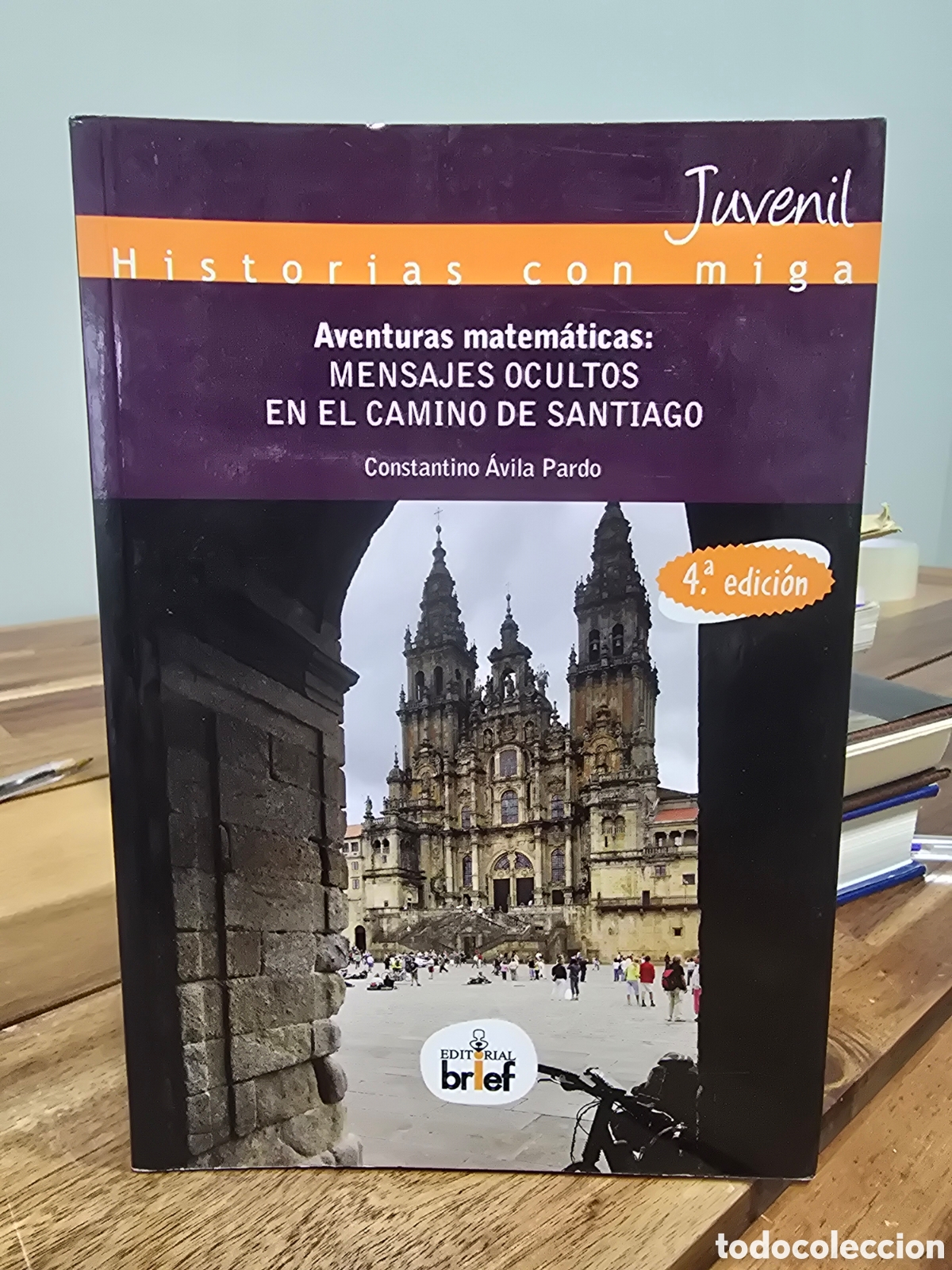 Libros de segunda mano: Aventuras matem&aacute;ticas: MENSAJES OCULTOS EN EL CAMINO DE SANTIAGO Constantino Avila Ed. brief 2015