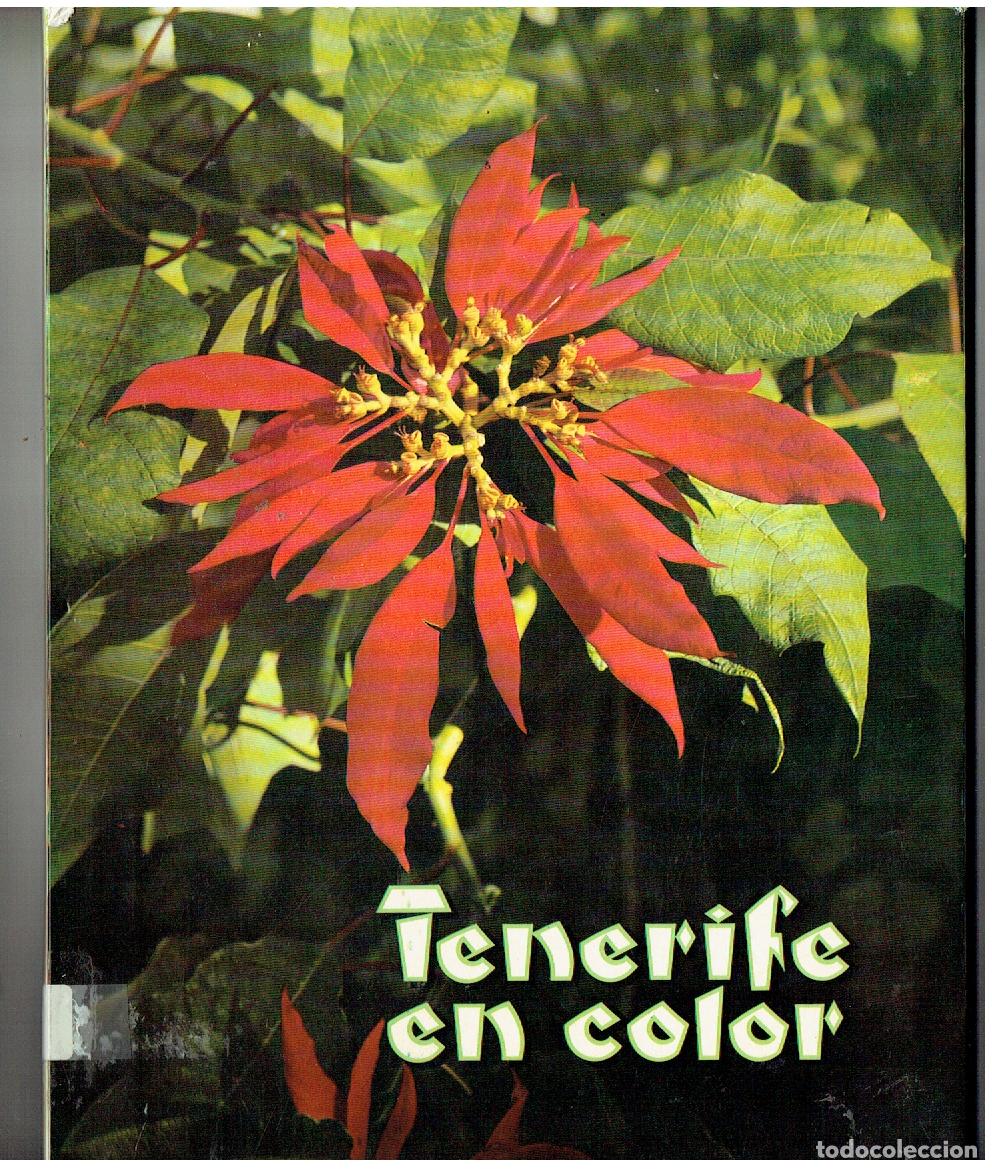 Libros de segunda mano: TENERIFE EN COLOR. EDT. ROMERMAN, (B/12)