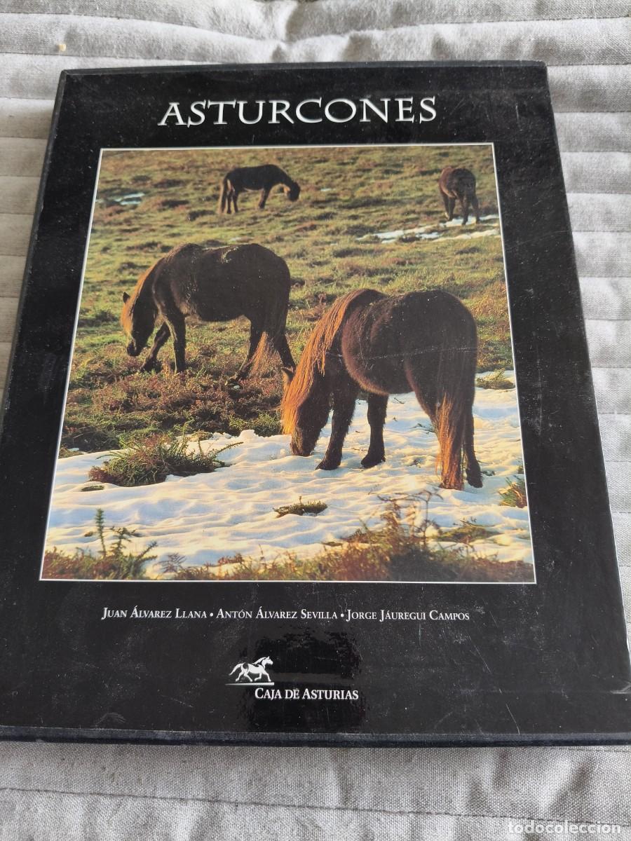 Libros de segunda mano: ASTURCONES. JUAN ALVAREZ LLANA - ANTON ALVAREZ SEVILLA - JORGE JAUREGUI CAMPOS. CAJA DE ASTURIAS, 19
