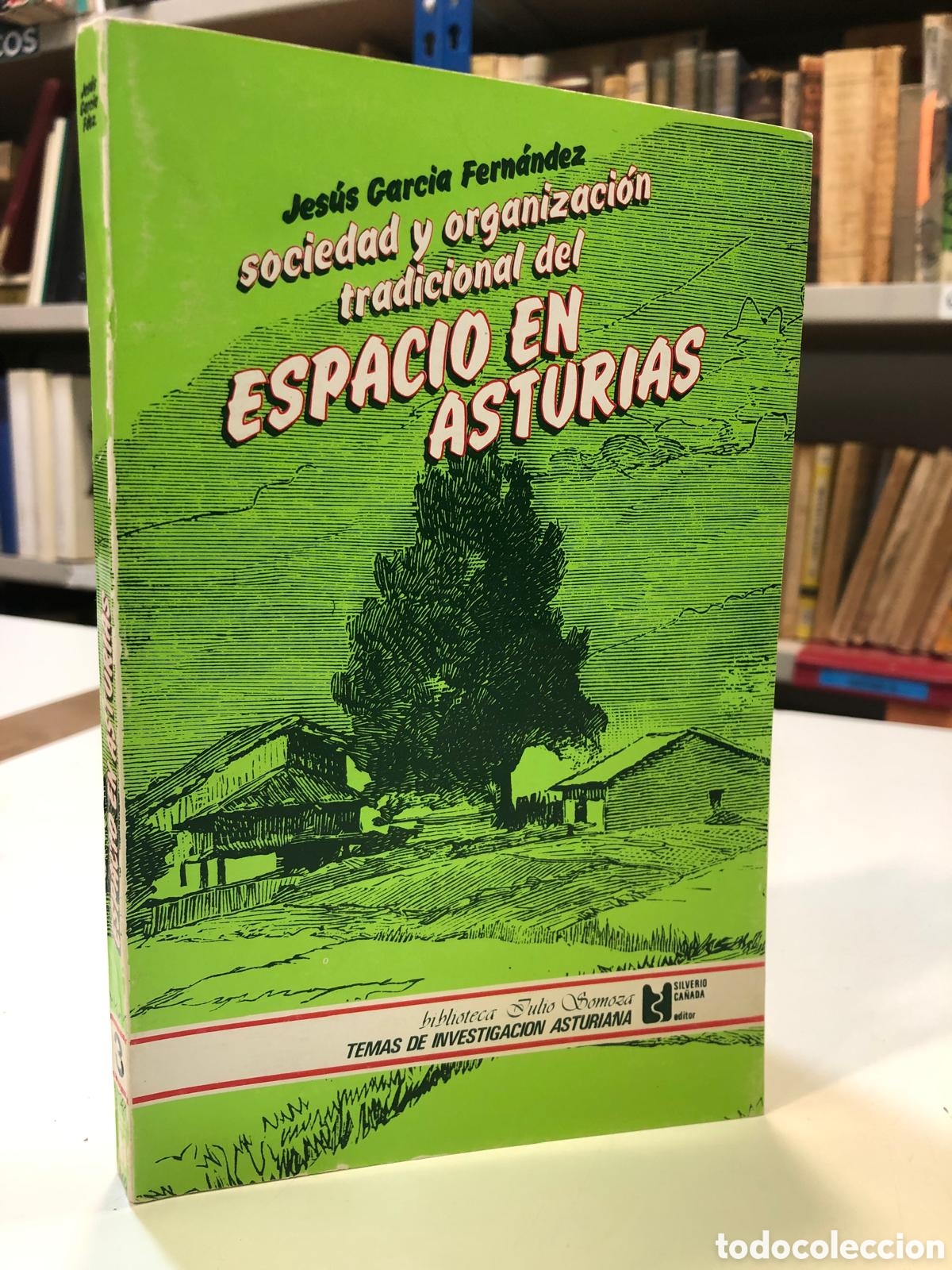 Second hand books: Sociedad y organizaci&oacute;n tradicional del espacio en Asturias - Jes&uacute;s Garc&iacute;a Fern&aacute;ndez