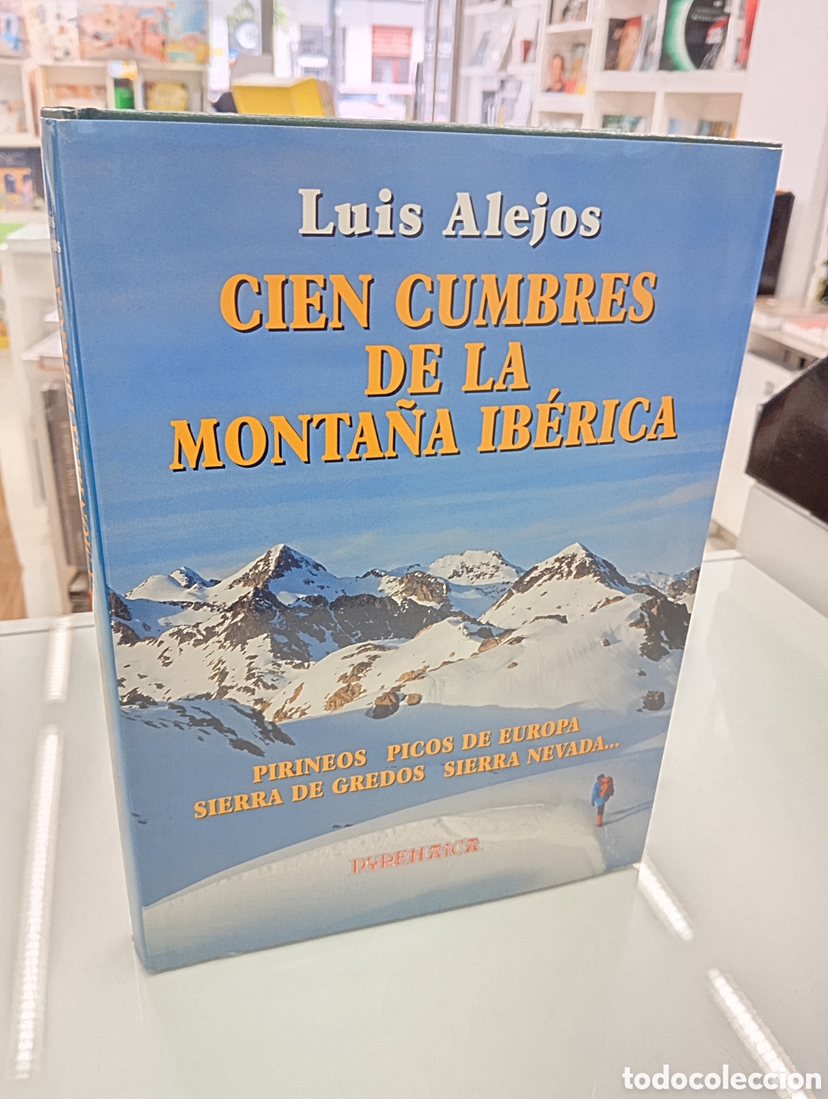 Libros de segunda mano: CIEN CUMBRES DE LA MONTA&Ntilde;A IB&Eacute;RICA Pirineos Picos de Europa Gredos LUIS ALEJOS PYRENAICA EUSKAL 1995