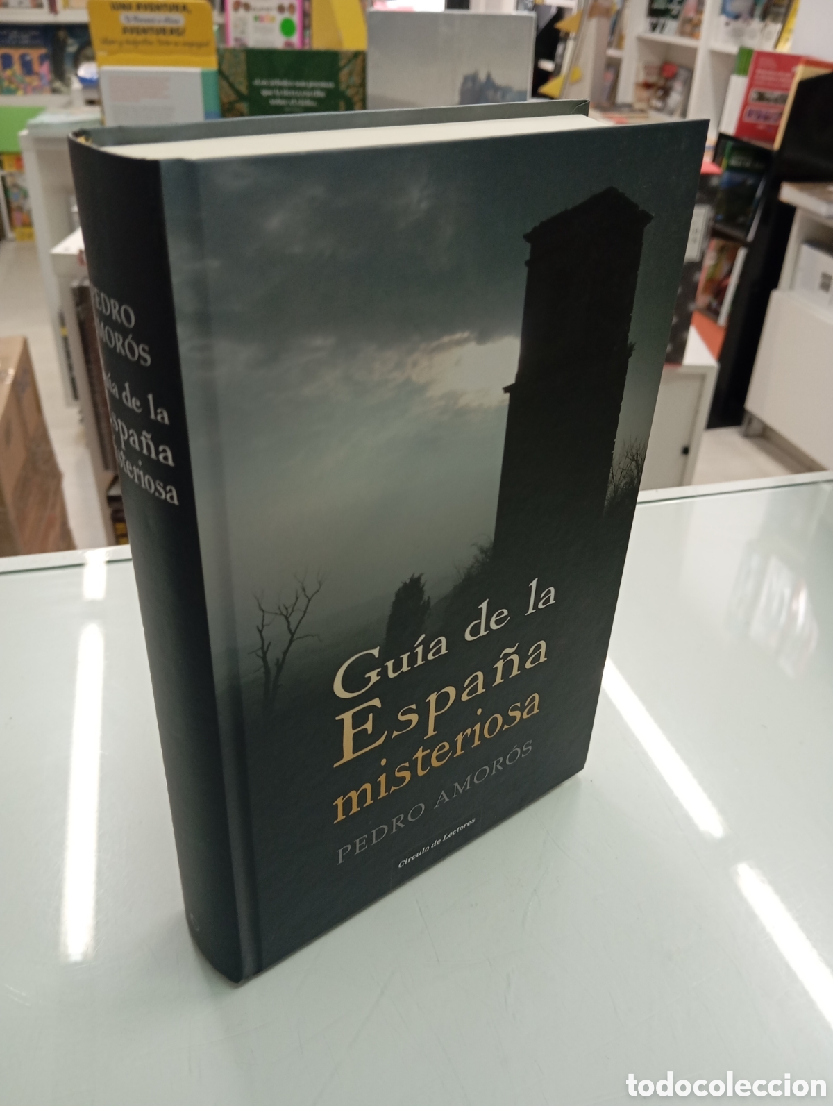 Libros de segunda mano: GUIA DE LA ESPA&Ntilde;A MISTERIOSA PEDRO AMOROS Cupula C&iacute;rculo Lec FENOMENOS PARANORMALES Cartone PERFECTO