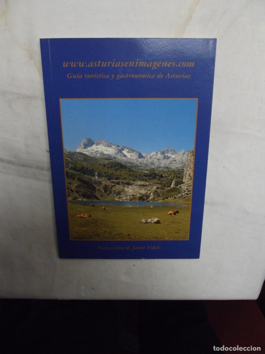 Libros de segunda mano: GUIA TURISTICA Y GASTRONOMICA DE ASTURIAS