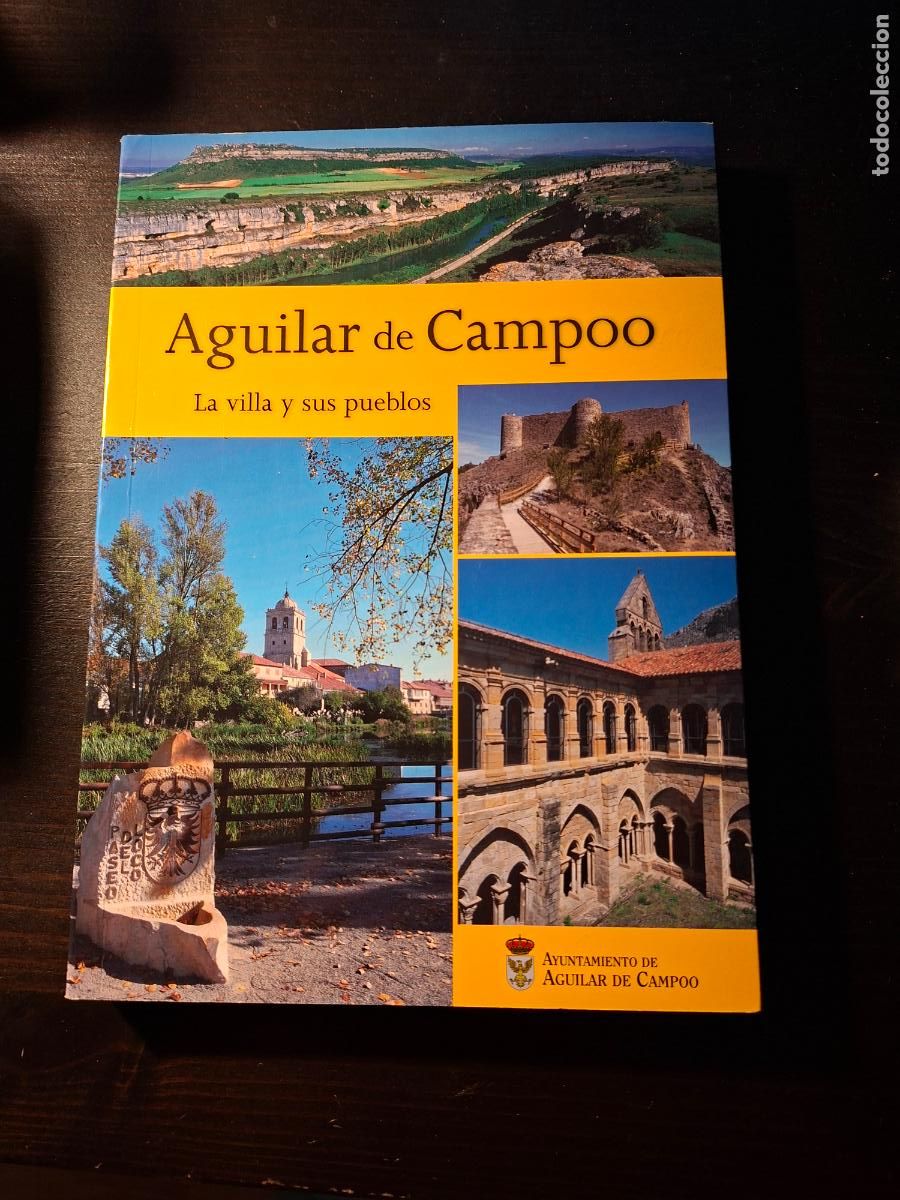 Libros de segunda mano: Aguilar de Campoo. La villa y sus pueblos - Gonzalo Alcalde Crespo - Edilesa