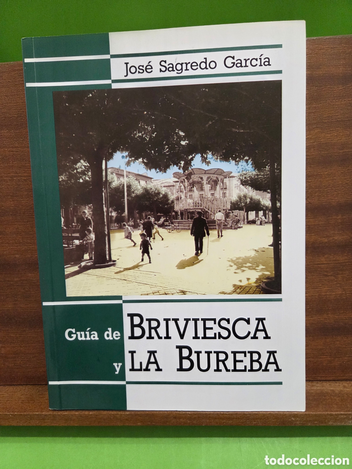 Libros de segunda mano: &rdquo;&rdquo;GUIA DE BRIVIESCA Y LA BUREBA&rdquo;&rdquo;...JOSE SAGREDO GARCIA...1990...