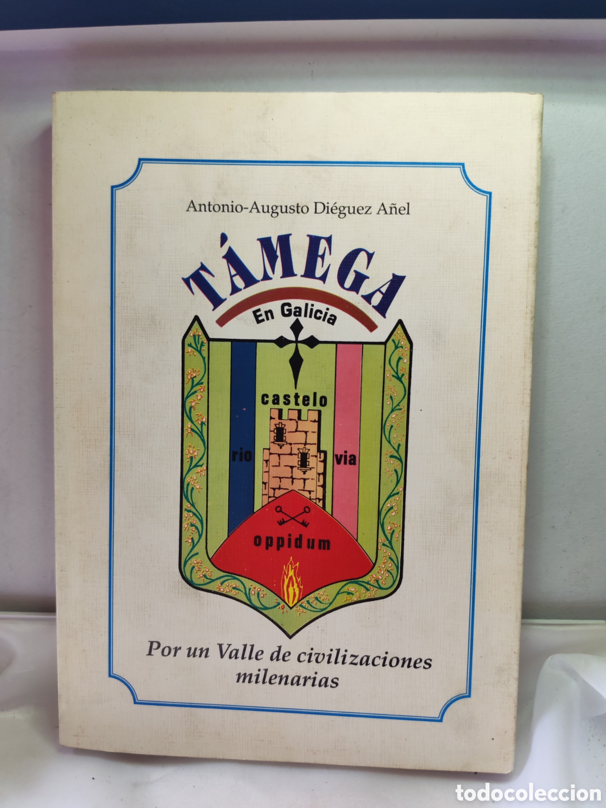 Libros de segunda mano: TAMEGA EN GALICIA. Por un valle de civilizaciones milenarias. Antonio.Augusto Dieguez A&ntilde;el. 1993