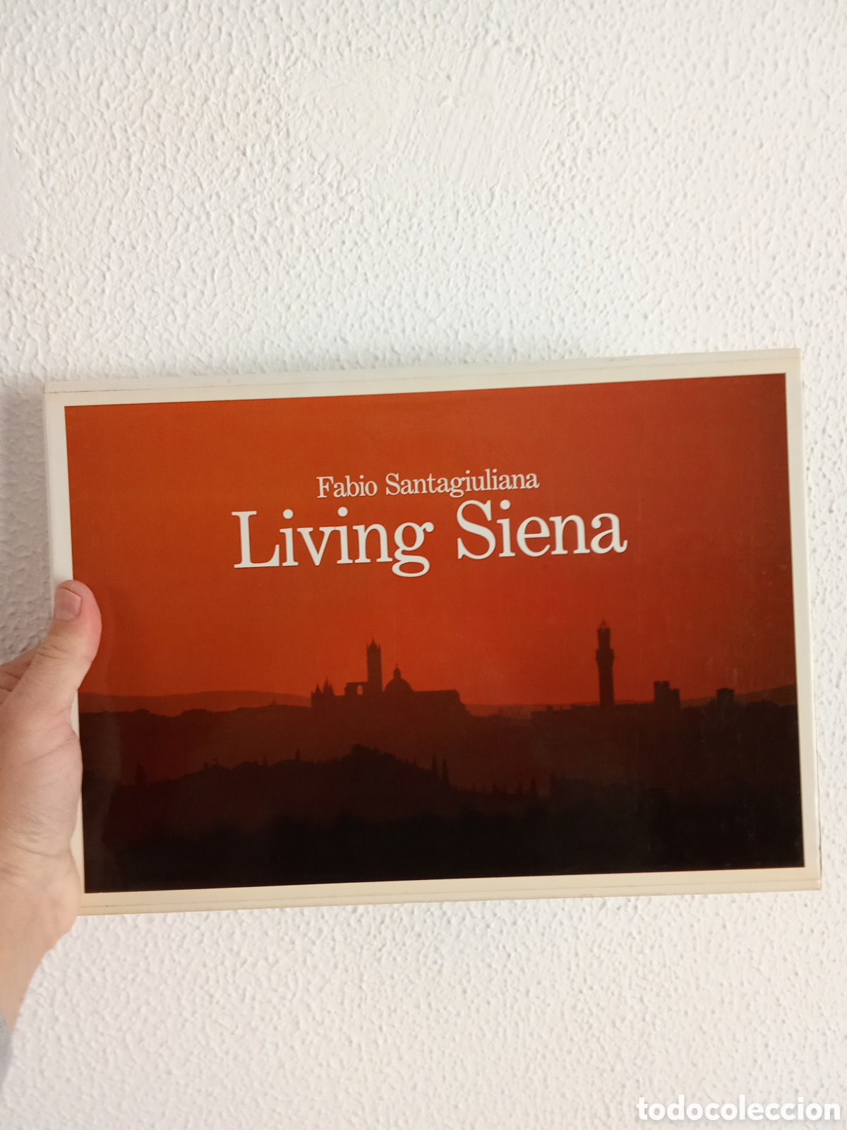 Libros de segunda mano: Living Siena - Fabio Santagiuliana - Magnus Edizione Spa