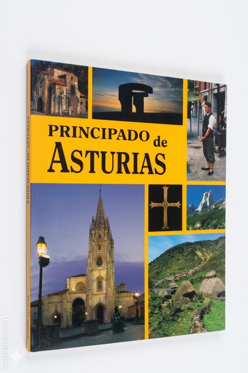 Libros de segunda mano: Libro Gu&iacute;a PRINCIPADO DE ASTURIAS - Gran Formato Ilustrado (Paisajes, Arte, Historia)-Victor Alperi